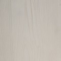 Ivory Ash